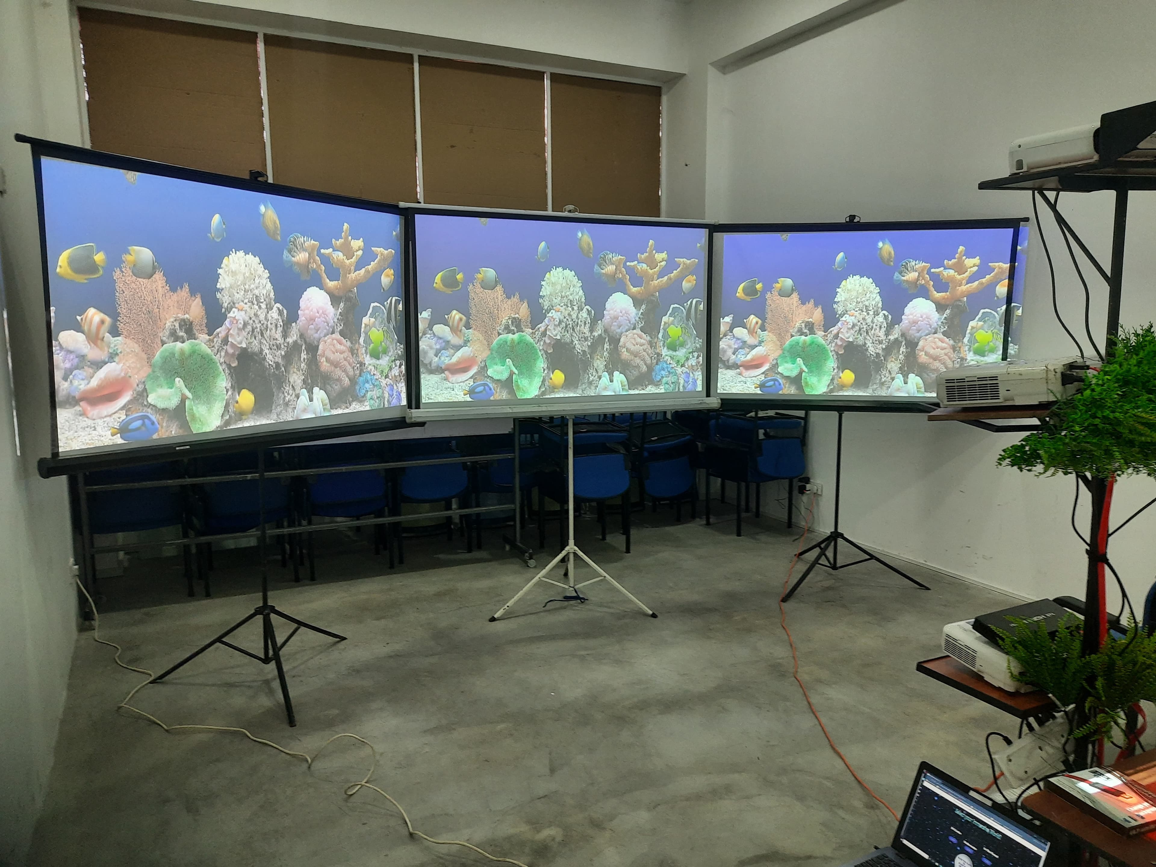 Tripod 6 x 6 Feet 1:1 Projector Screen in action 7