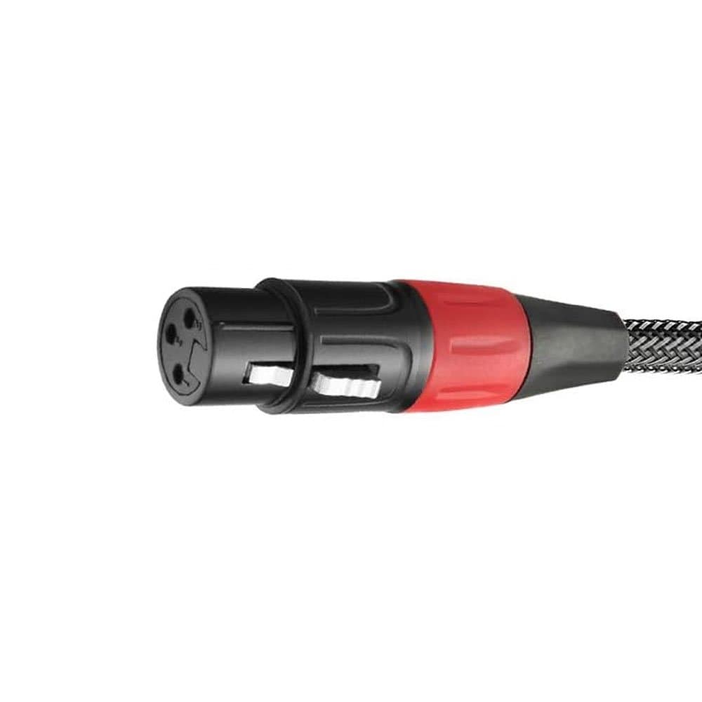Rent an RCA male to XLR female audio adapter in Colombo from Rentitem.lk - thumbnail 3