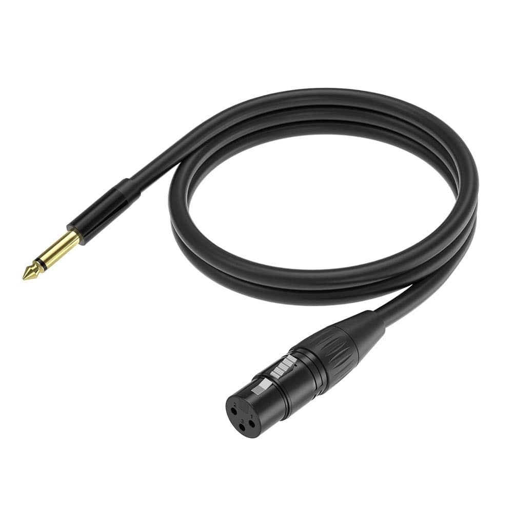 Rent a 6.35mm jack to XLR female audio adapter in Colombo from Rentitem.lk