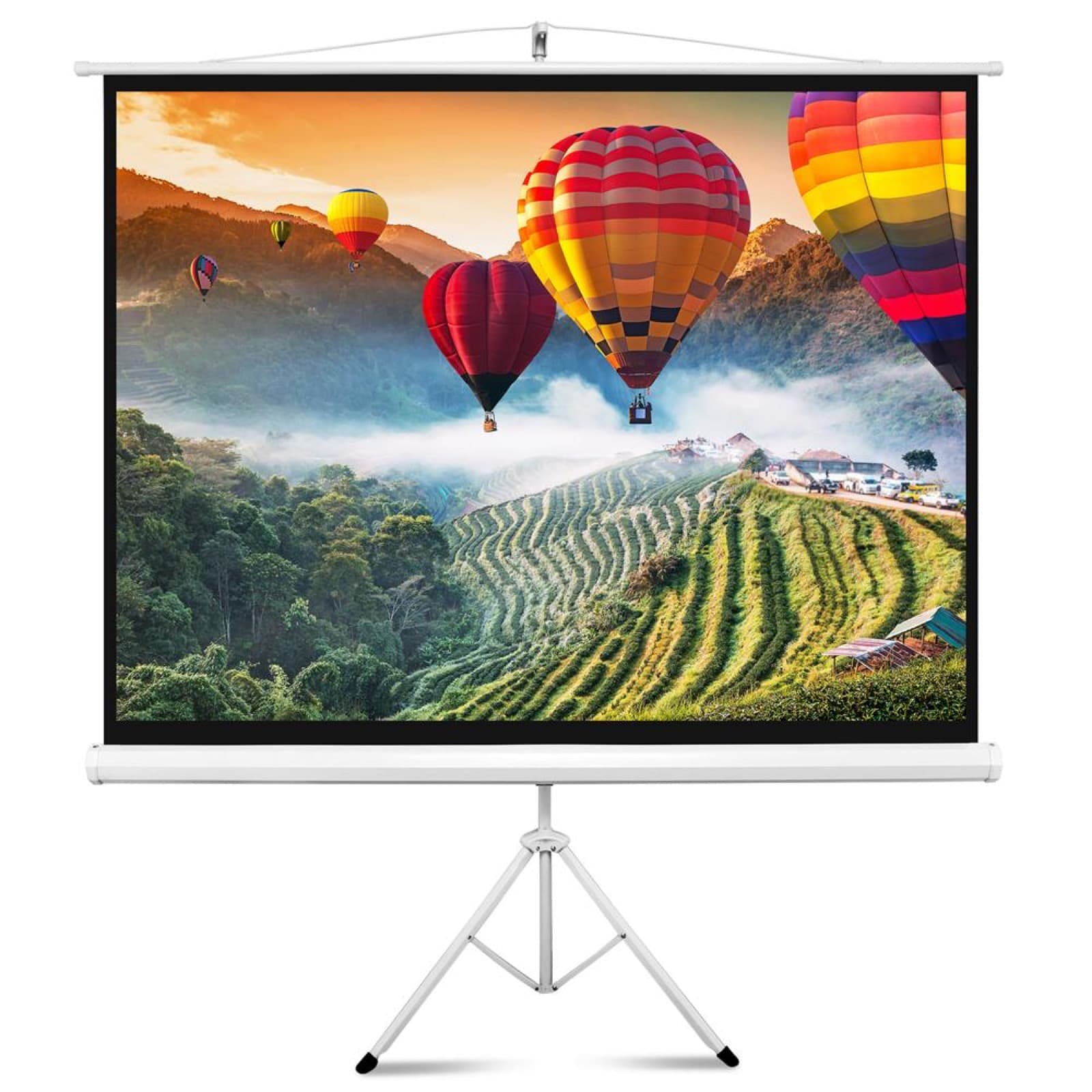 Rent a 7x7 ft tripod projector screen in Colombo from Rentitem.lk