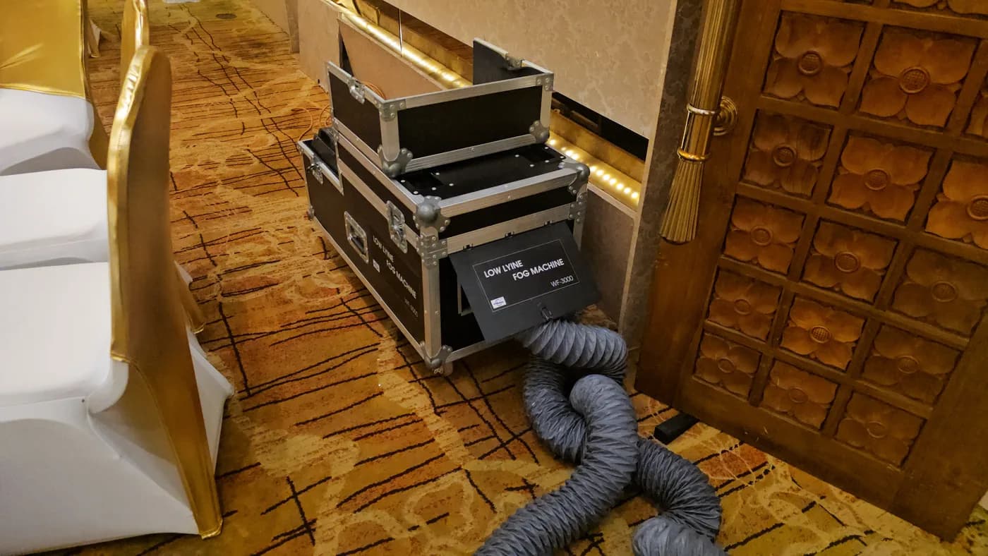 Low Fog Machine 3000W — actual unit photo 02