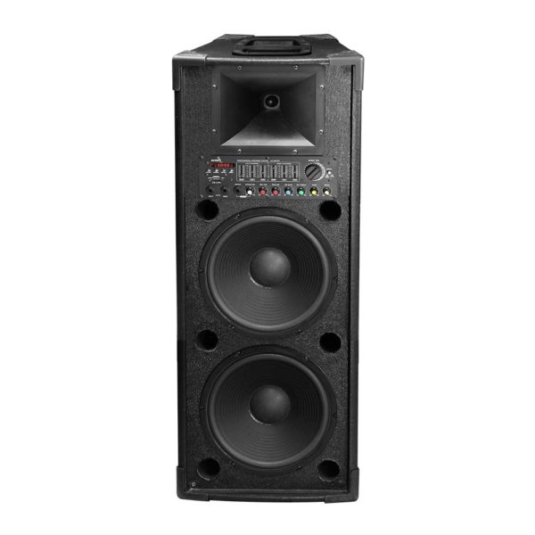 Medium Size Speaker