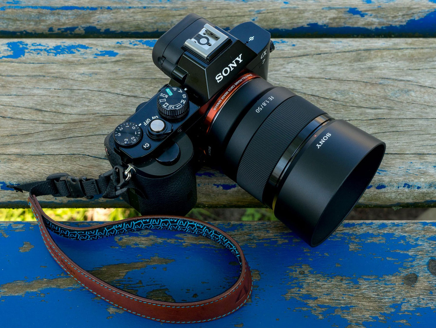 Sony E 50mm F1.8 Lens - Portrait Photography