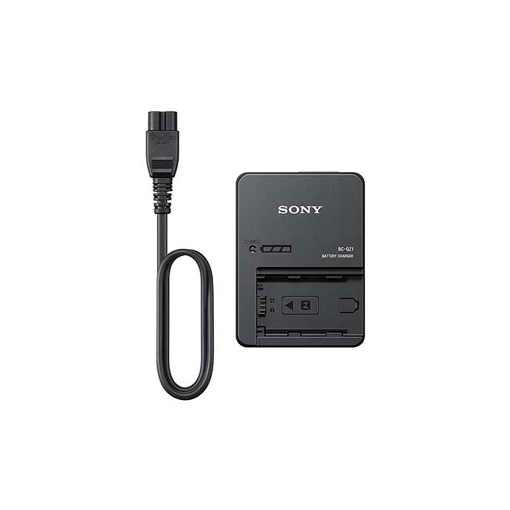 Sony NP-FZ100 Battery Charger