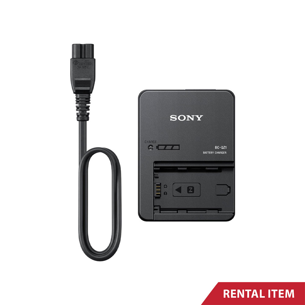 Sony NP-FZ100 Battery Charger