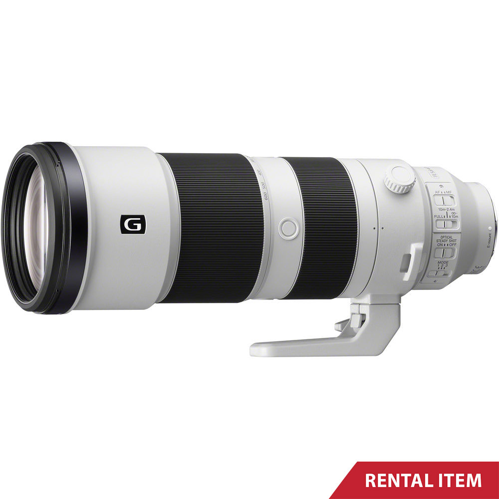 Sony FE 200-600mm f5.6-6.3 G OSS Lens