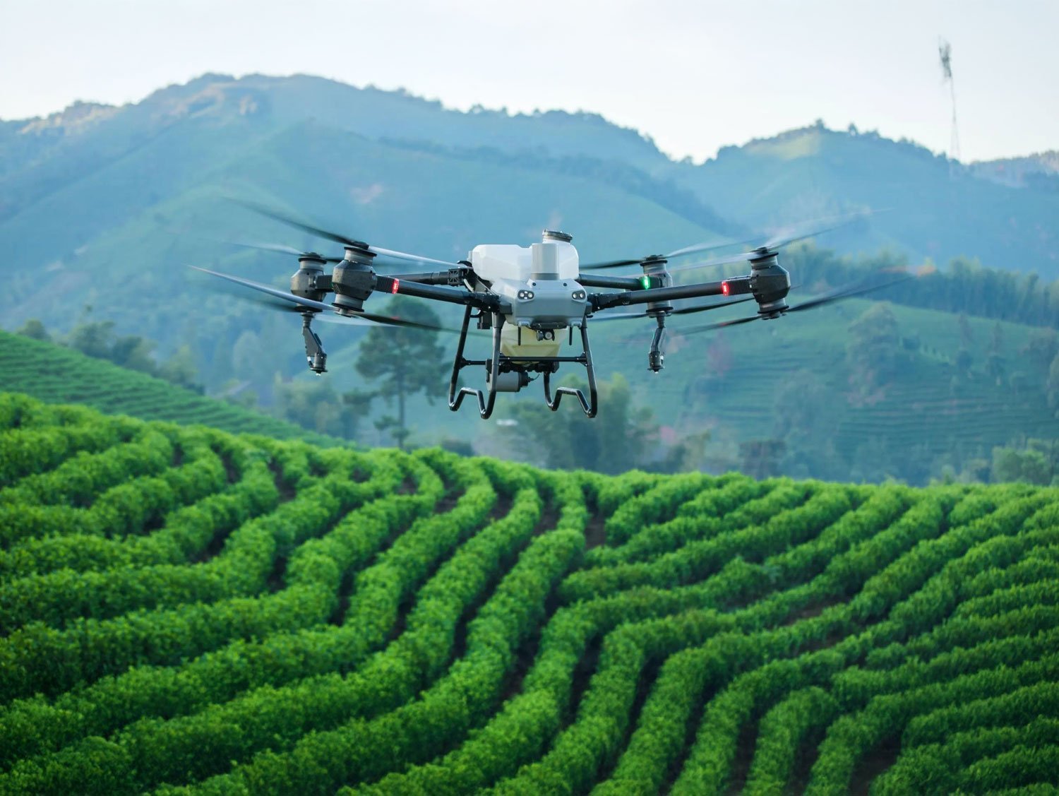 DJI Agras T50 Agriculture Spraying Drone